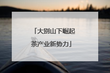 大别山下崛起茶产业新势力