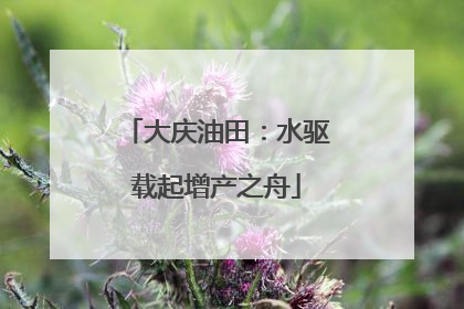 大庆油田：水驱载起增产之舟