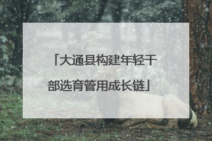 大通县构建年轻干部选育管用成长链