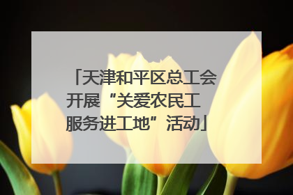 天津和平区总工会开展“关爱农民工 服务进工地”活动