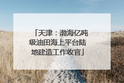 天津：渤海亿吨级油田海上平台陆地建造工作收官