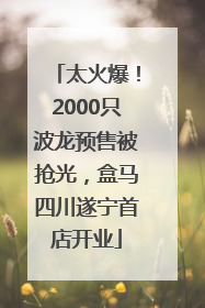 太火爆！2000只波龙预售被抢光，盒马四川遂宁首店开业
