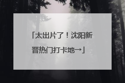 太出片了！沈阳新晋热门打卡地→
