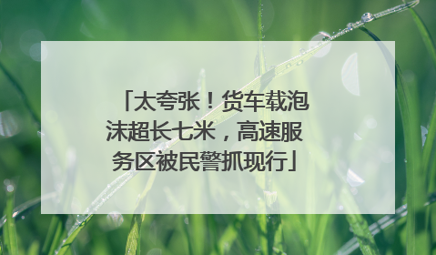 太夸张！货车载泡沫超长七米，高速服务区被民警抓现行
