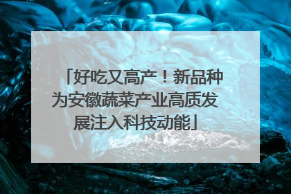 好吃又高产！新品种为安徽蔬菜产业高质发展注入科技动能