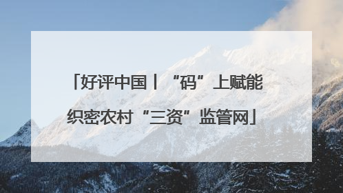 好评中国丨“码”上赋能 织密农村“三资”监管网