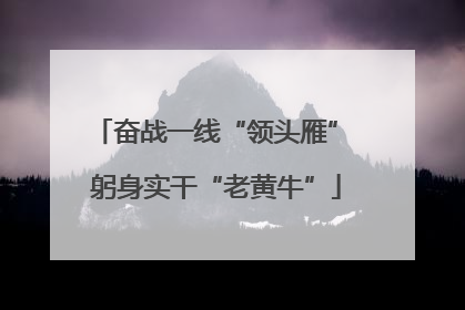 奋战一线“领头雁” 躬身实干“老黄牛”