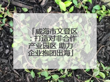 威海市文登区：打造对非合作产业园区 助力企业抱团出海
