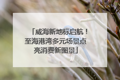 威海新地标启航！至海港湾多元场景点亮消费新图景