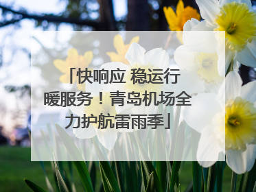 快响应 稳运行 暖服务！青岛机场全力护航雷雨季