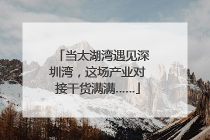 当太湖湾遇见深圳湾，这场产业对接干货满满……