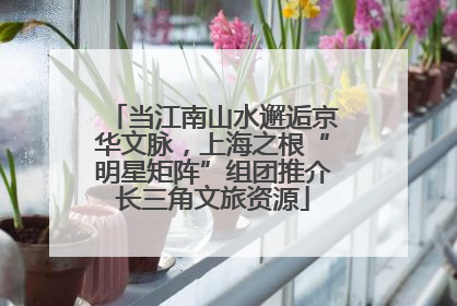 当江南山水邂逅京华文脉，上海之根“明星矩阵”组团推介长三角文旅资源