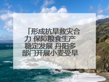 形成抗旱救灾合力 保障粮食生产稳定发展 丹阳多部门开展小麦受旱情况调研