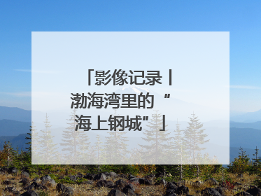 影像记录丨渤海湾里的“海上钢城”
