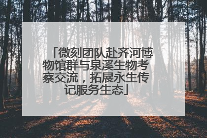 微刻团队赴齐河博物馆群与泉溪生物考察交流，拓展永生传记服务生态