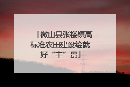 微山县张楼镇高标准农田建设绘就好“丰”景