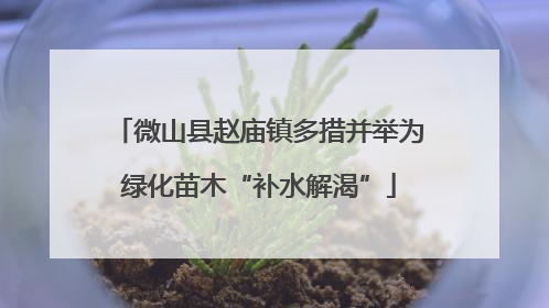微山县赵庙镇多措并举为绿化苗木“补水解渴”