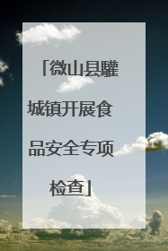 微山县驩城镇开展食品安全专项检查