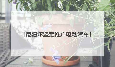 尼泊尔坚定推广电动汽车