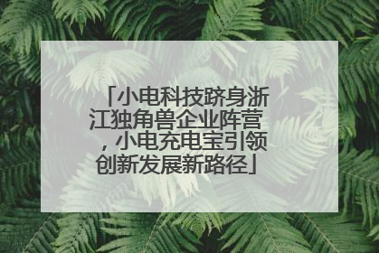 小电科技跻身浙江独角兽企业阵营，小电充电宝引领创新发展新路径