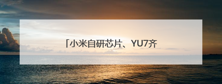 小米自研芯片、YU7齐发布！相关话题霸占热搜榜，雷军一夜涨粉超20万