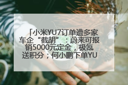 小米YU7订单遭多家车企“截胡”：蔚来可报销5000元定金，极氪送积分；何小鹏下单YU7，喊话雷军早点交付