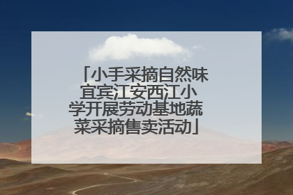 小手采摘自然味 宜宾江安西江小学开展劳动基地蔬菜采摘售卖活动