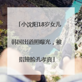 小沈阳18岁女儿韩国出道照曝光，被指撞脸孔孝真