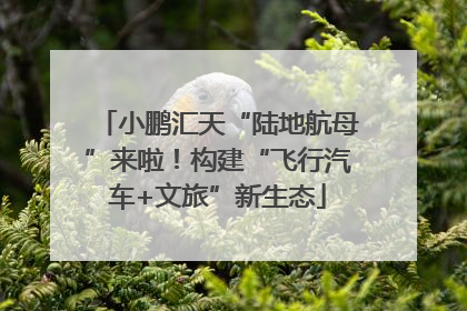 小鹏汇天“陆地航母”来啦！构建“飞行汽车+文旅”新生态