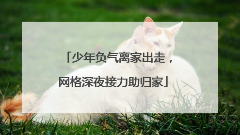 少年负气离家出走，网格深夜接力助归家
