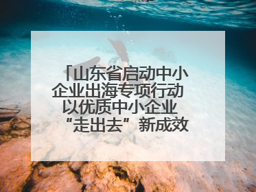 山东省启动中小企业出海专项行动 以优质中小企业“走出去”新成效展示山东产业发展新形象