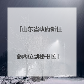 山东省政府新任命两位副秘书长