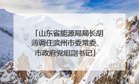 山东省能源局局长胡薄调任滨州市委常委、市政府党组副书记