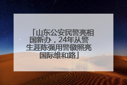 山东公安民警亮相国新办，24年从警生涯陈强用警徽照亮国际维和路