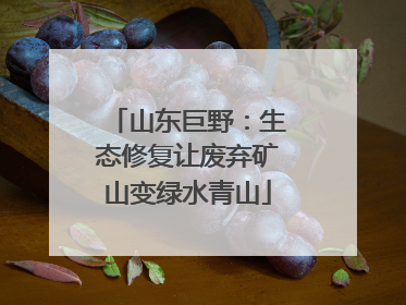 山东巨野：生态修复让废弃矿山变绿水青山