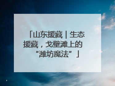 山东援藏｜生态援藏，戈壁滩上的“潍坊魔法”