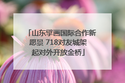 山东擘画国际合作新愿景 718对友城架起对外开放金桥