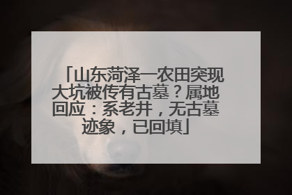 山东菏泽一农田突现大坑被传有古墓？属地回应：系老井，无古墓迹象，已回填