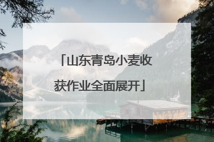 山东青岛小麦收获作业全面展开