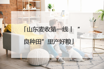 山东麦收第一线丨“良种田”里产好粮