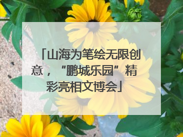 山海为笔绘无限创意，“鹏城乐园”精彩亮相文博会