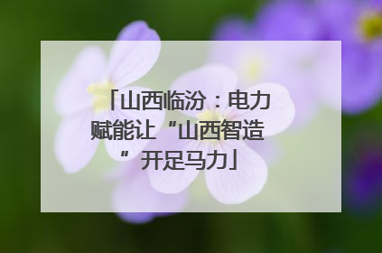山西临汾：电力赋能让“山西智造”开足马力
