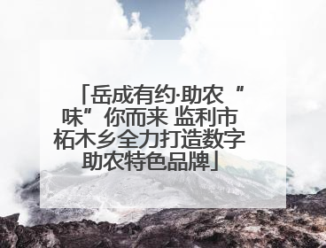 岳成有约·助农“味”你而来 监利市柘木乡全力打造数字助农特色品牌