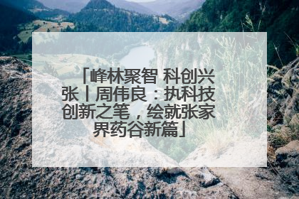 峰林聚智 科创兴张丨周伟良：执科技创新之笔，绘就张家界药谷新篇
