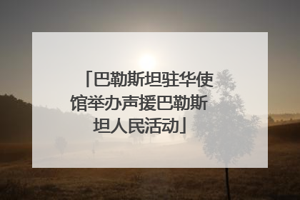巴勒斯坦驻华使馆举办声援巴勒斯坦人民活动