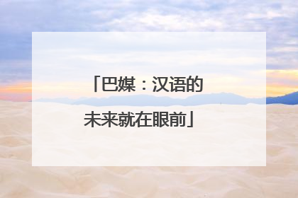 巴媒：汉语的未来就在眼前