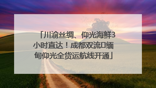 川渝丝绸、仰光海鲜3小时直达！成都双流⇌缅甸仰光全货运航线开通
