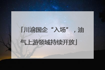 川渝国企“入场”，油气上游领域持续开放