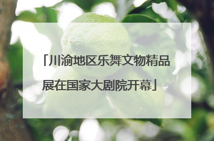 川渝地区乐舞文物精品展在国家大剧院开幕