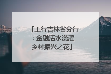 工行吉林省分行：金融活水浇灌 乡村振兴之花